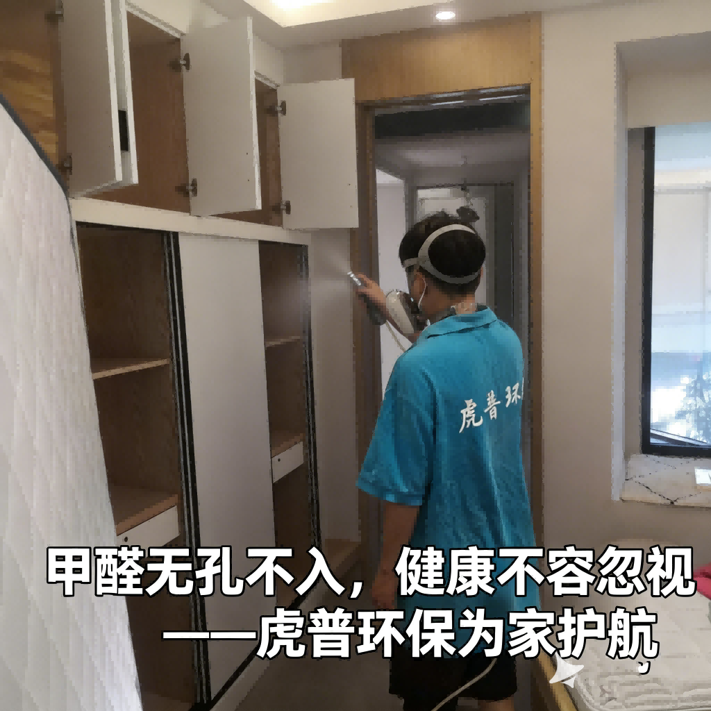 除甲醛公司 除甲醛公司